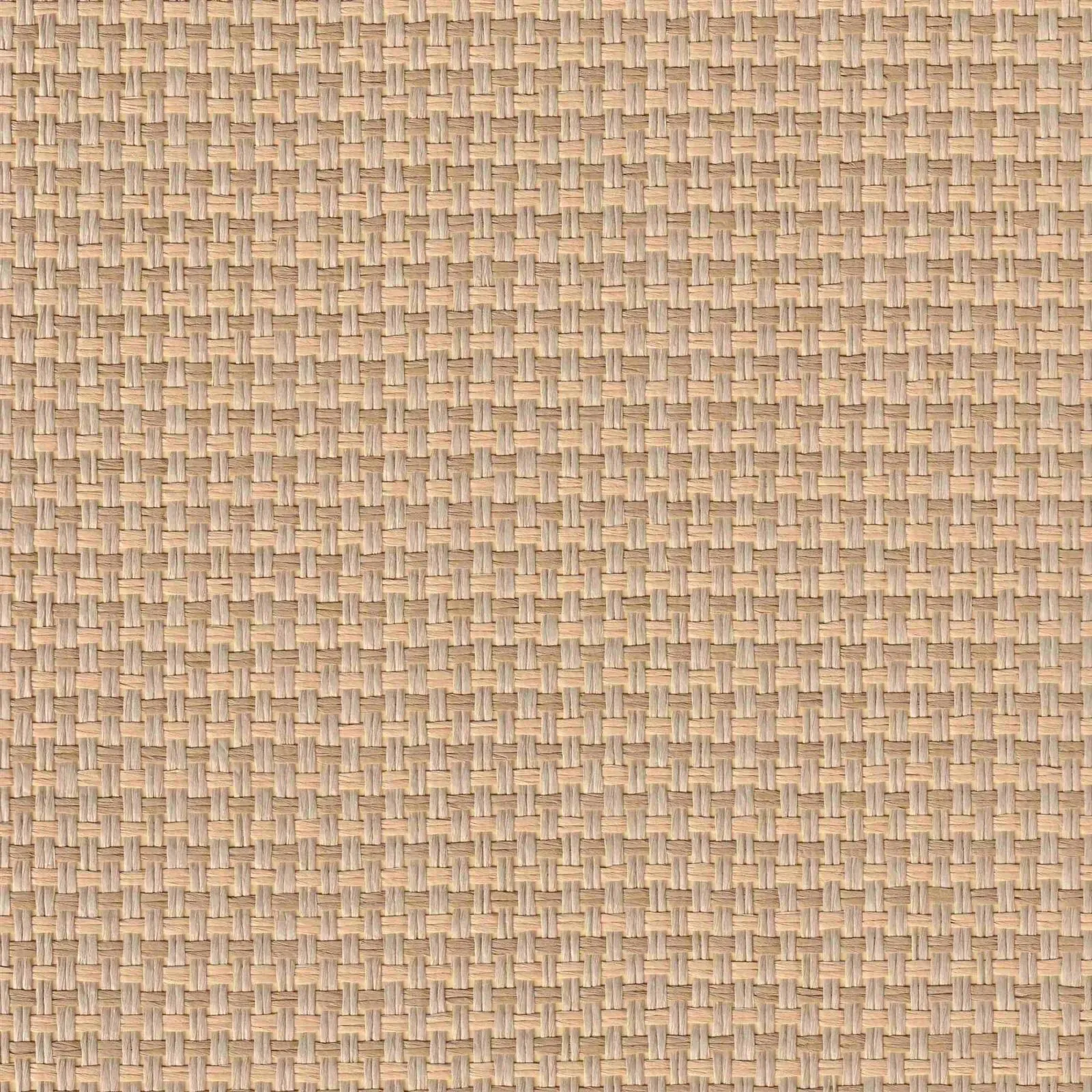 product-2200-2200 product-2200-2200