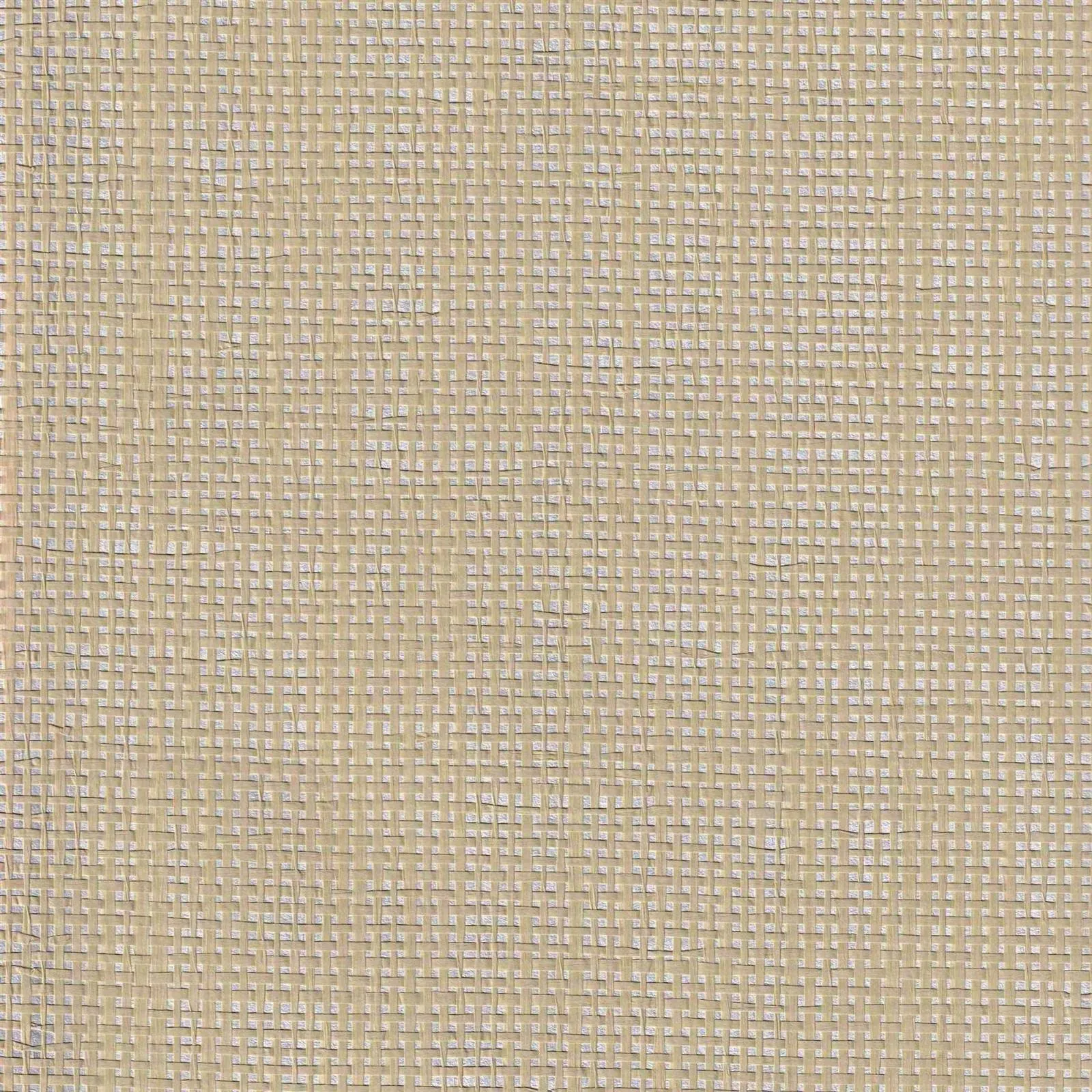 product-2200-2200 product-2200-2200